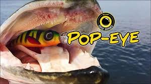 0001_Spro_iris_pop-eye_12_cm_[Softbaits_Shads]_[Spro].jpg